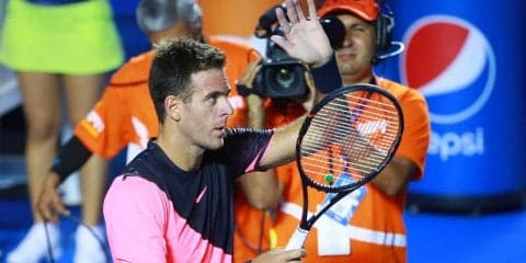 デル ポトロがフェレールとの接戦を制して準々決勝へ[男子テニスATPワールドツアー500 アカプルコ]