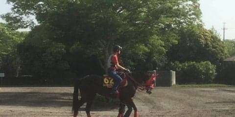 【オークス】トーセンブレスが左前挫石のため出走取消