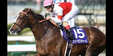 注目スワーヴリチャードはバッサリ。安田記念を勝つ４歳馬は別にいる