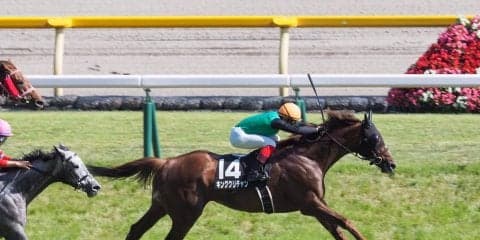 【東京10R/由比ヶ浜特別】新人の山田敬士が9歳馬キングクリチャンをJRA初勝利に導く