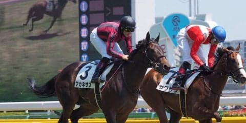 【東京6R/2歳新馬】圧倒的人気アカネサス快勝もヒヤヒヤのデビュー戦