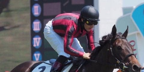 ノーザンファームが新馬戦を制圧！