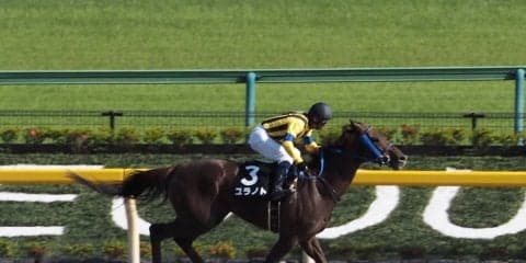 【東京11R/麦秋S】ユラノトが人気に応える！