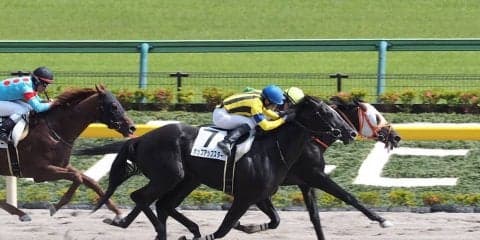 【東京8R/3歳上500万下】コスモロブロイが驚異的な差し返しを見せ快勝！