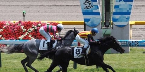 【東京6R/3歳未勝利】キンカメ産駒、ネイビーアッシュがゴール直前で差し切る！
