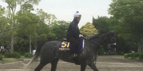 【安田記念】アエロリット まともなら巻き返しも可能
