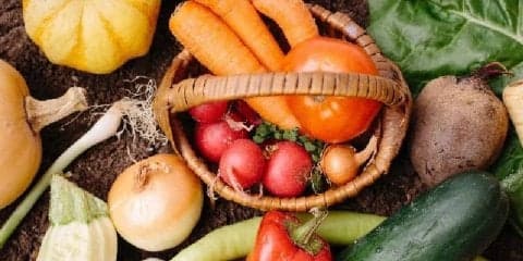 オーガニック食の基礎を学び、生活に上手に取り入れよう！