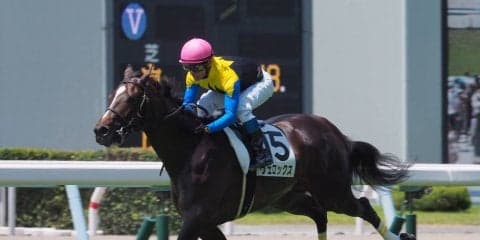 【小倉5R/2歳新馬】ジャスタウェイ産駒 ヴェロックスが8馬身差圧勝！
