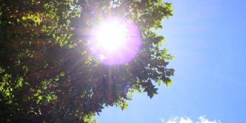 我慢強い人ほど注意！熱中症の正しい対策と対処法