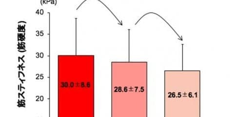 スポーツ選手の肉離れなどの筋損傷リスクに関連する遺伝要因を解明…順天堂大学