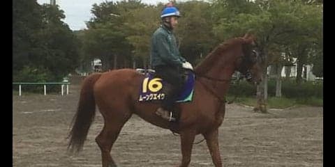 【スプリンターズS】ムーンクエイク 藤沢和師「今度は違うと思うよ」
