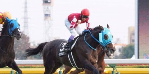 【武豊日記】競馬の祭典