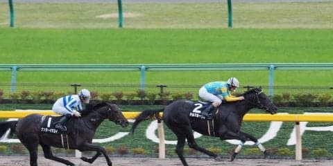 【オキザリス賞】デルマルーヴルが鋭く抜け出す！ルメール好調