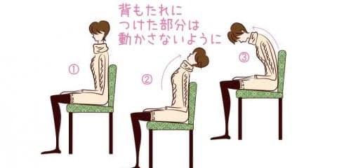 背骨を意識して動いてみよう