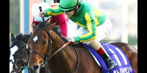 ジャパンＣの行方を左右する、サトノダイヤモンドの「復活」は本物か