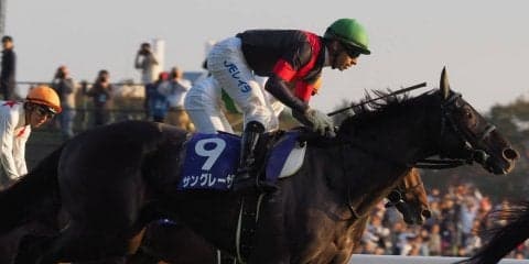 2018香港国際競走 日本馬の近況(12月6日(木))
