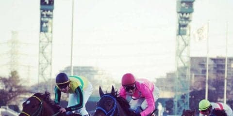 ツクバアズマオー号が競走馬登録抹消