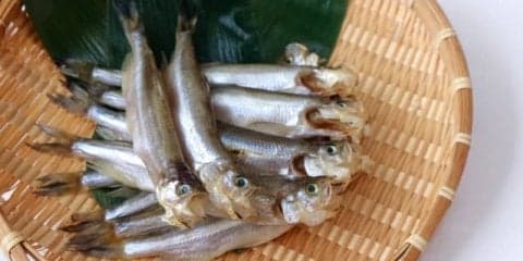 驚くべき「ししゃも」の効果効能