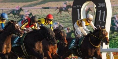 【ホープフルS】出走馬の調教後の馬体重
