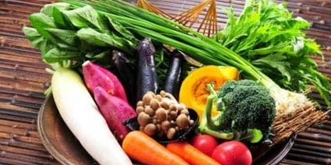 食物繊維と腸内環境について