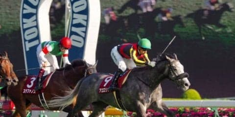 2019ペガサスワールドカップターフ（G1）アエロリット号がアメリカに到着