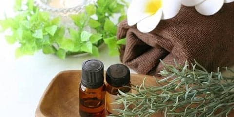 香りでストレスを発散させよう！ストレスやイライラに効果的な香り８つ