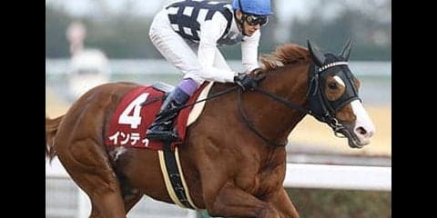 フェブラリーＳは６連勝中のインティ中心。初の距離も血統的に好材料