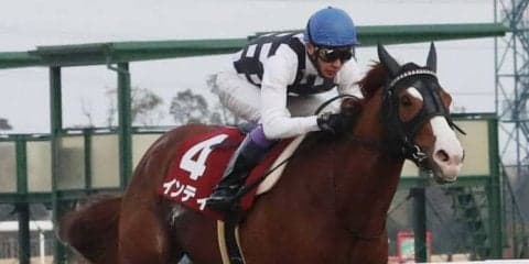 【フェブラリーS】出走馬の調教後の馬体重