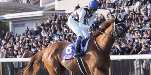 【フェブラリーS】武豊「ニュースター誕生だと思います」インティが破竹の7連勝G1制覇