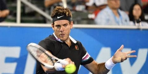 デル ポトロ 次大会は欠場へ「インディアンウェルズでお会いしましょう」[ATP500 アカプルコ]
