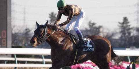 【高松宮記念】武豊モズスーパーフレアは7枠15番