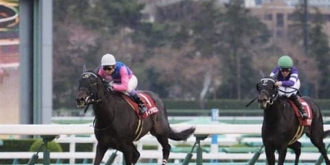 【日経賞】豊マジック炸裂！メイショウテッコンが逃げ切り