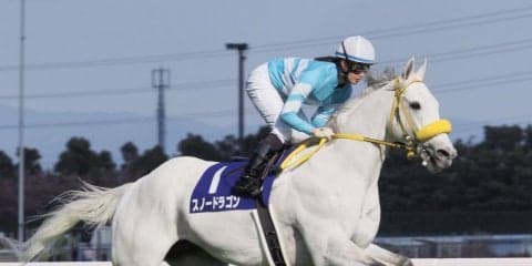 【高松宮記念】菜七子 2度目のG1挑戦は17着！道中は危ない場面も