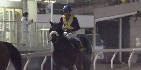 【東京スプリント】武豊「メドは立ちましたね」ヒロシゲゴールド重賞初挑戦で3着