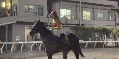 【東京スプリント】藤田菜七子「ゲートの中で態勢は悪くなかったのですが…」コパノキッキングは出遅れ2着