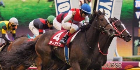 2019香港チャンピオンズデー 日本馬の近況（4月19日）