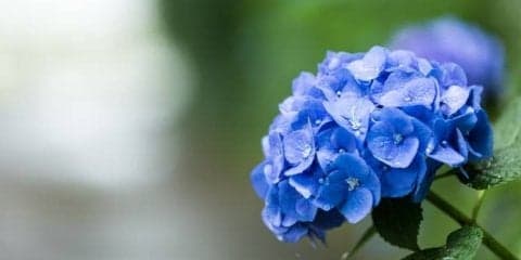 じめじめシーズン到来！梅雨の健康リスクと４つの改善法