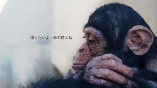 【多様な働き方を研究するコラム】長時間労働問題の深層