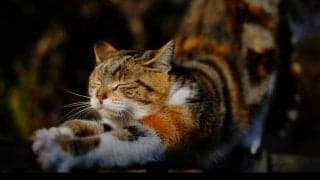 カラダの硬い人に絶対必要な女性が大好きなモノとは？