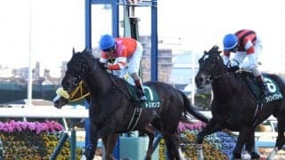 【中山金杯】2020年最初の重賞ウィナーはトリオンフ！