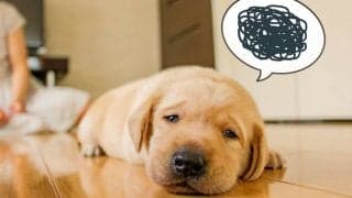 あなたの「振り回され度」診断