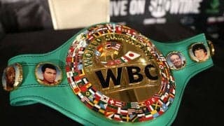 WBCが新設の「ブリッジャー級」　米記者は猛反発「ヘビー級の歴史が崩壊する」