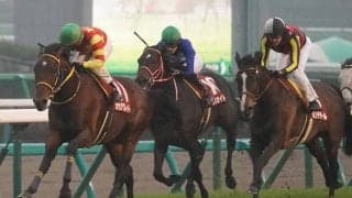 【ステイヤーズS】暮れの名物レースを制したのはオセアグレイト