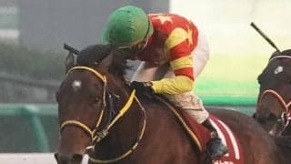 【ステイヤーズS】横山典「プラン通り」オセアグレイトが重賞初V