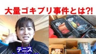  YouTube 土居美咲 大量ゴキブリ事件とは 