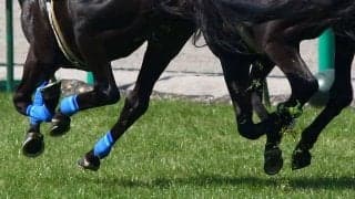 10歳馬が最大30馬身差の超大逃げ　圧勝レースに英紙衝撃「手を止めてこれを見ろ！」