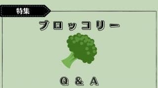 【ブロッコリーQ&A】どんな栄養がある？筋トレやダイエットにいいってホント？