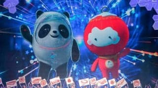 【北京2022カウントダウン】冬季パラリンピックのマスコットを一挙紹介