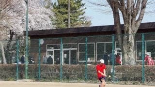 「第39回むさしの村チェリージュニアテニストーナメント」14歳以下女Sは決勝カードが14歳以下男S・12歳以下男女Sはベスト4進出者が決定！