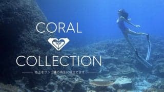 ROXYからサンゴの再生活動を支援する【Coral Collection】が本日リリース。